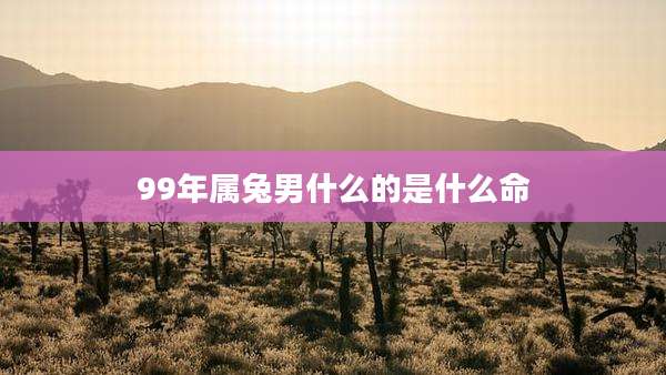 99年属兔男什么的是什么命