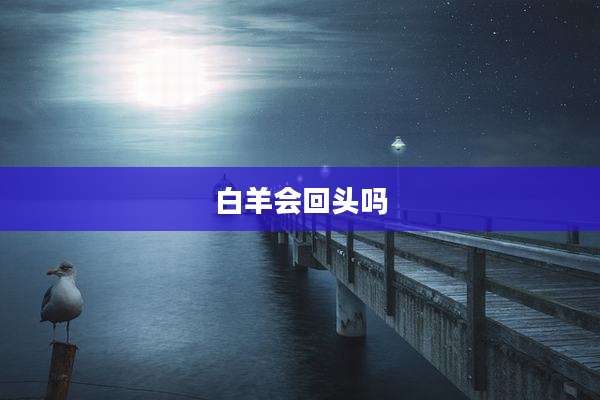 白羊会回头吗