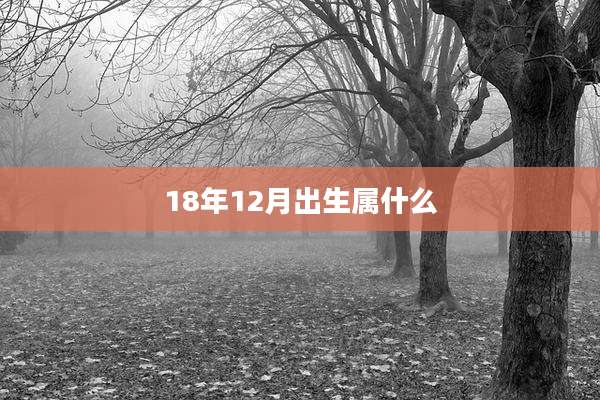 18年12月出生属什么
