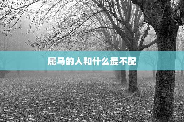 属马的人和什么最不配