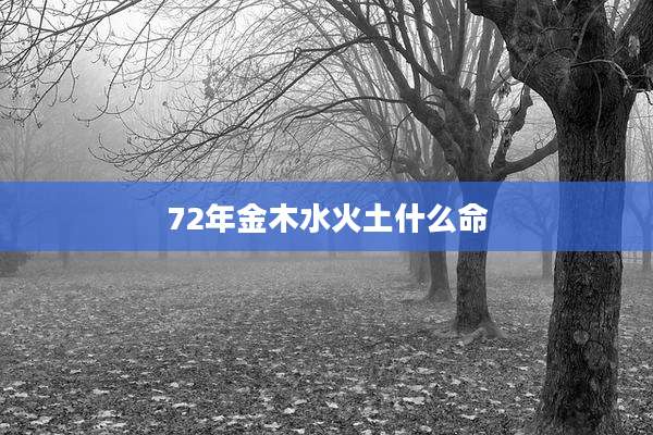 72年金木水火土什么命
