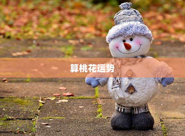 算桃花运势