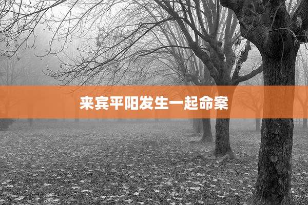 来宾平阳发生一起命案