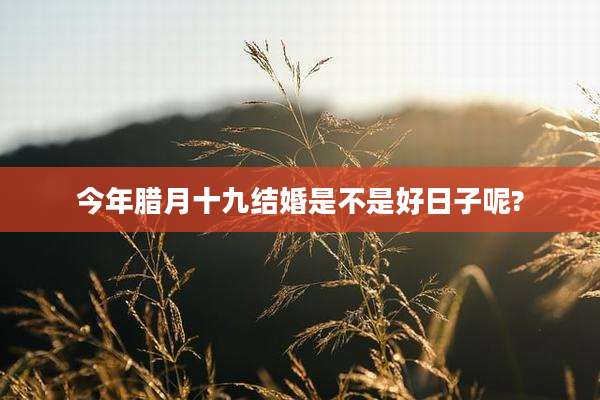 今年腊月十九结婚是不是好日子呢?