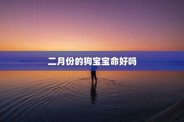 二月份的狗宝宝命好吗