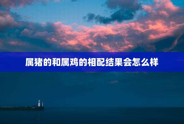 属猪的和属鸡的相配结果会怎么样
