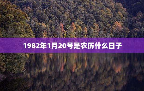1982年1月20号是农历什么日子
