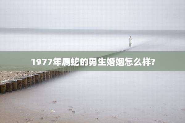 1977年属蛇的男生婚姻怎么样?
