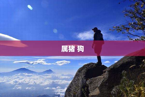 属猪 狗