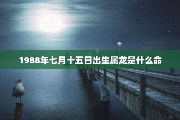 1988年七月十五日出生属龙是什么命