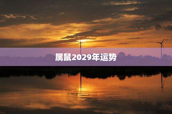 属鼠2029年运势