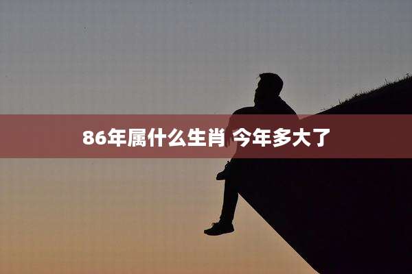 86年属什么生肖 今年多大了