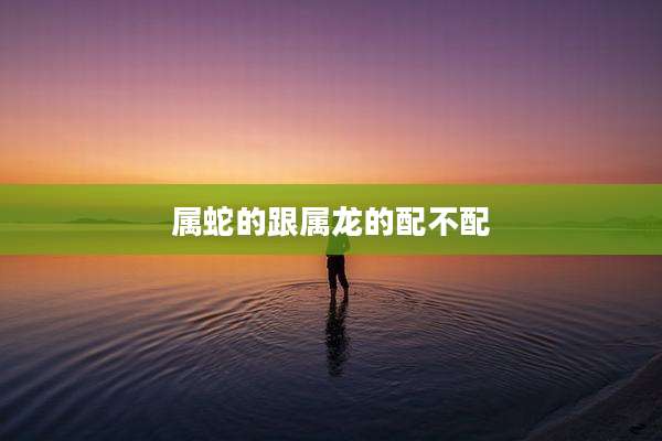 属蛇的跟属龙的配不配