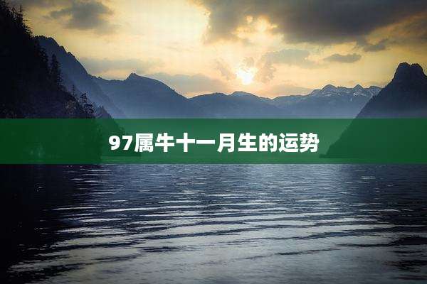 97属牛十一月生的运势