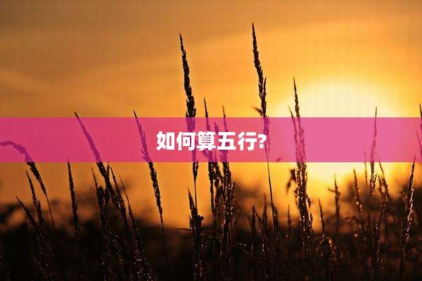 如何算五行?