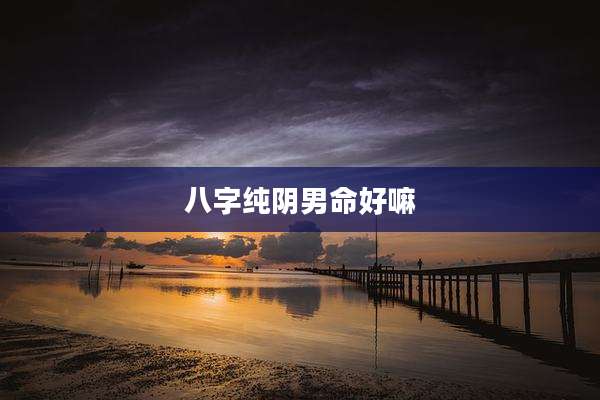 八字纯阴男命好嘛