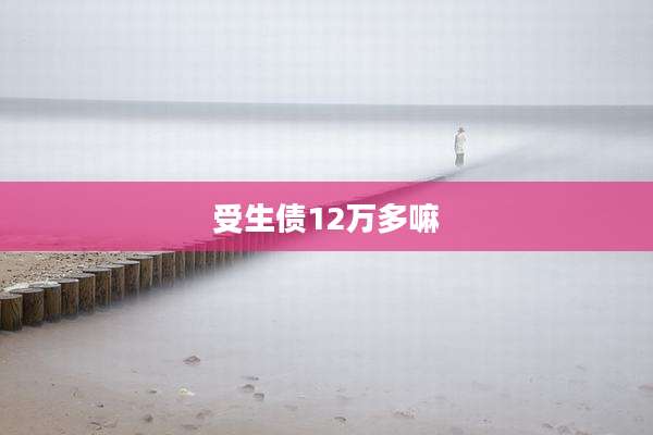 受生债12万多嘛
