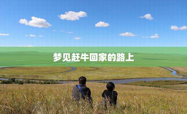 梦见赶牛回家的路上