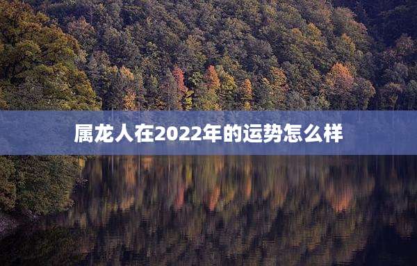 属龙人在2022年的运势怎么样