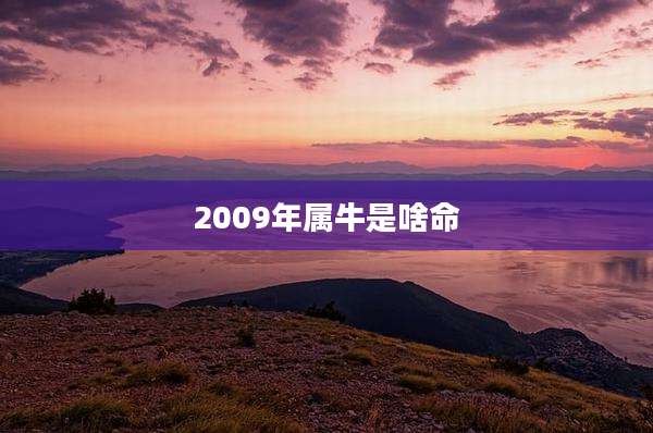 2009年属牛是啥命