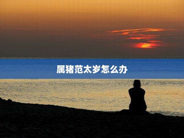 属猪范太岁怎么办