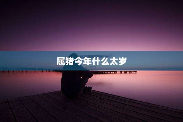属猪今年什么太岁