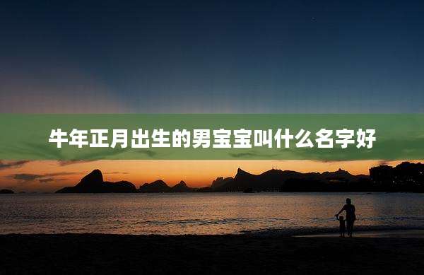 牛年正月出生的男宝宝叫什么名字好