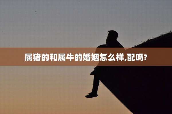 属猪的和属牛的婚姻怎么样,配吗?
