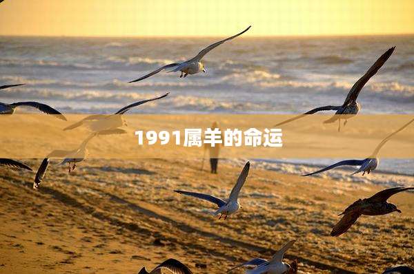 1991属羊的命运