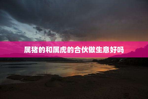属猪的和属虎的合伙做生意好吗