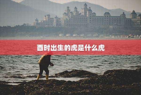 酉时出生的虎是什么虎