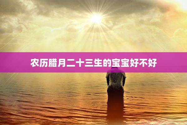 农历腊月二十三生的宝宝好不好