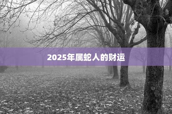2025年属蛇人的财运