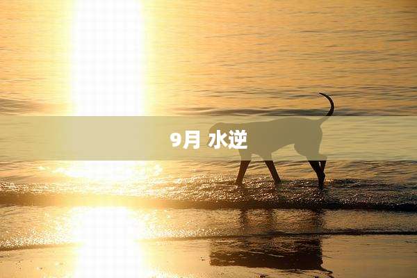 9月 水逆