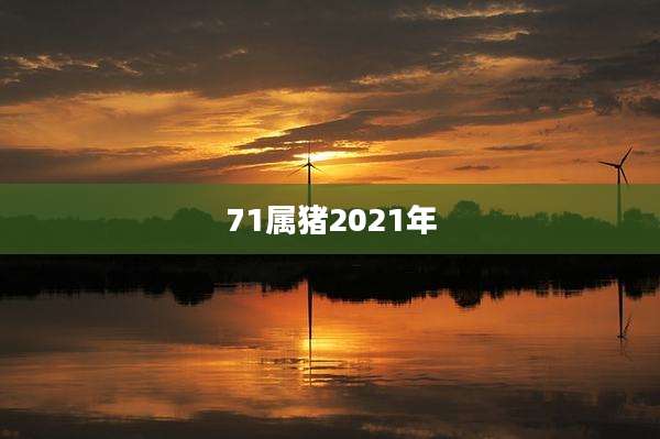 71属猪2021年