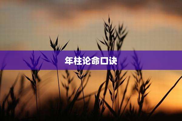 年柱论命口诀