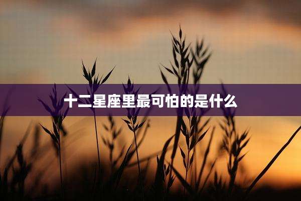 十二星座里最可怕的是什么