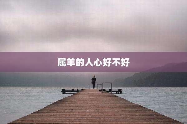 属羊的人心好不好