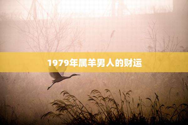 1979年属羊男人的财运