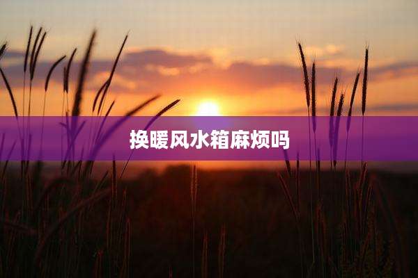 换暖风水箱麻烦吗