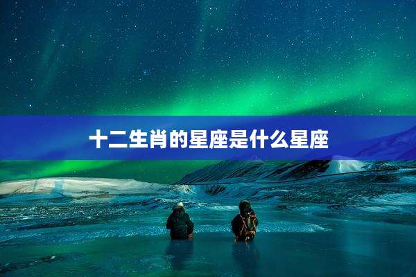 十二生肖的星座是什么星座