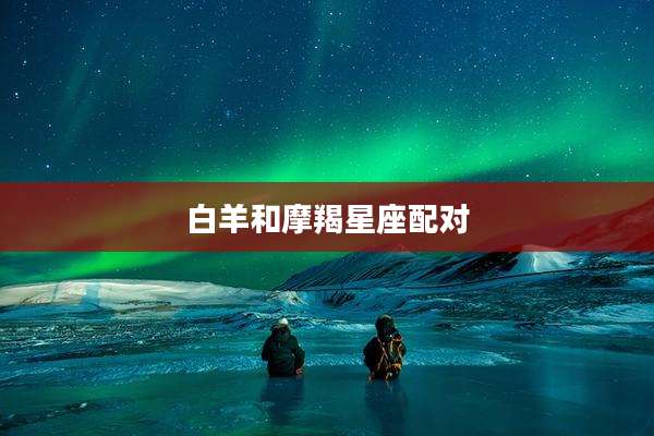 白羊和摩羯星座配对