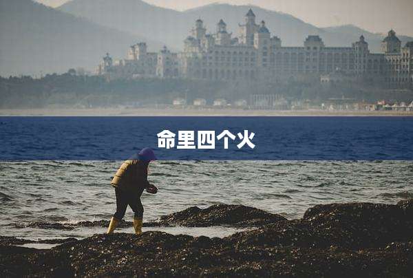 命里四个火