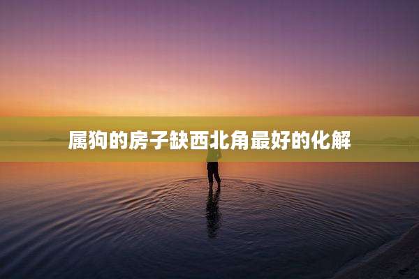 属狗的房子缺西北角最好的化解