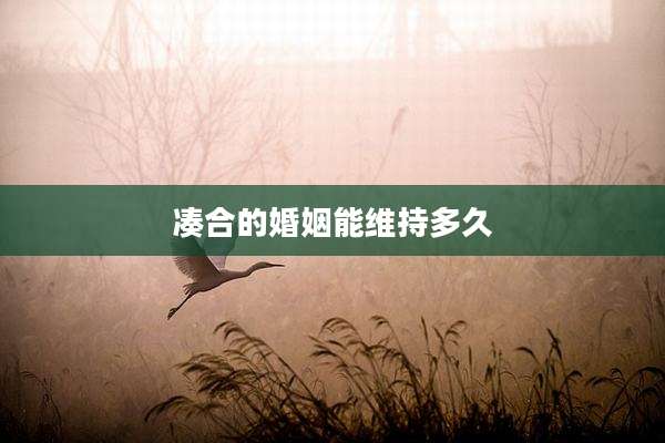 凑合的婚姻能维持多久