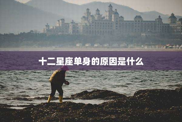 十二星座单身的原因是什么