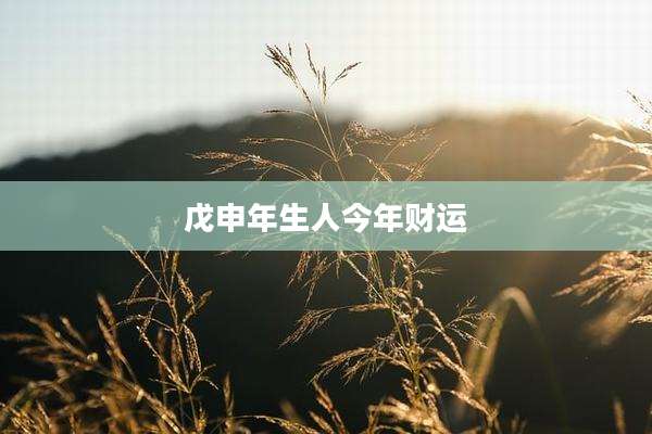 戊申年生人今年财运