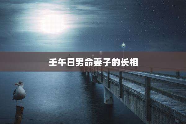 壬午日男命妻子的长相