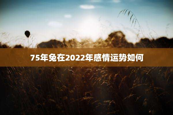 75年兔在2022年感情运势如何
