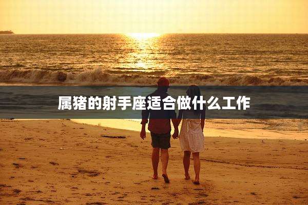 属猪的射手座适合做什么工作